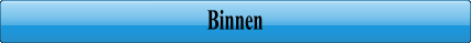 Binnen